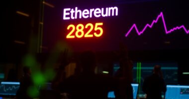 ethereum rebounds to 2825