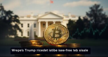 trump s bitcoin reserve potential