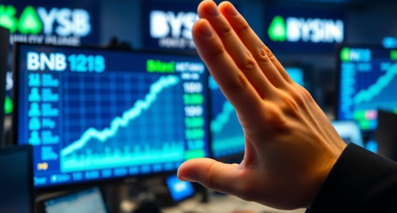 bnb recovers after panic