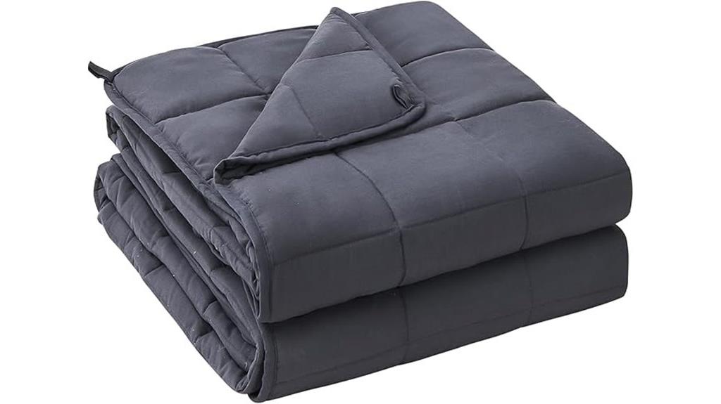 20 lbs queen sized blanket