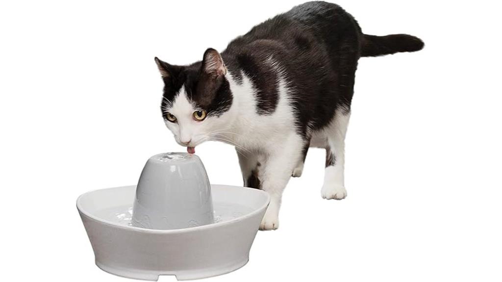 ceramic pet fountain