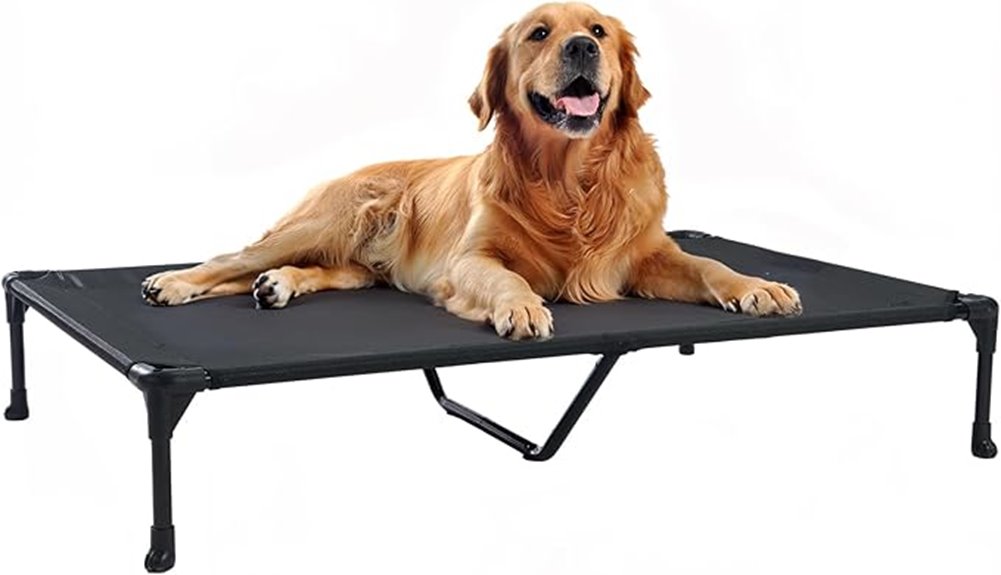 elevated washable mesh bed