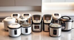 top 15 fluffy rice makers