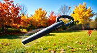 top cordless leaf blowers