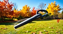 top cordless leaf blowers