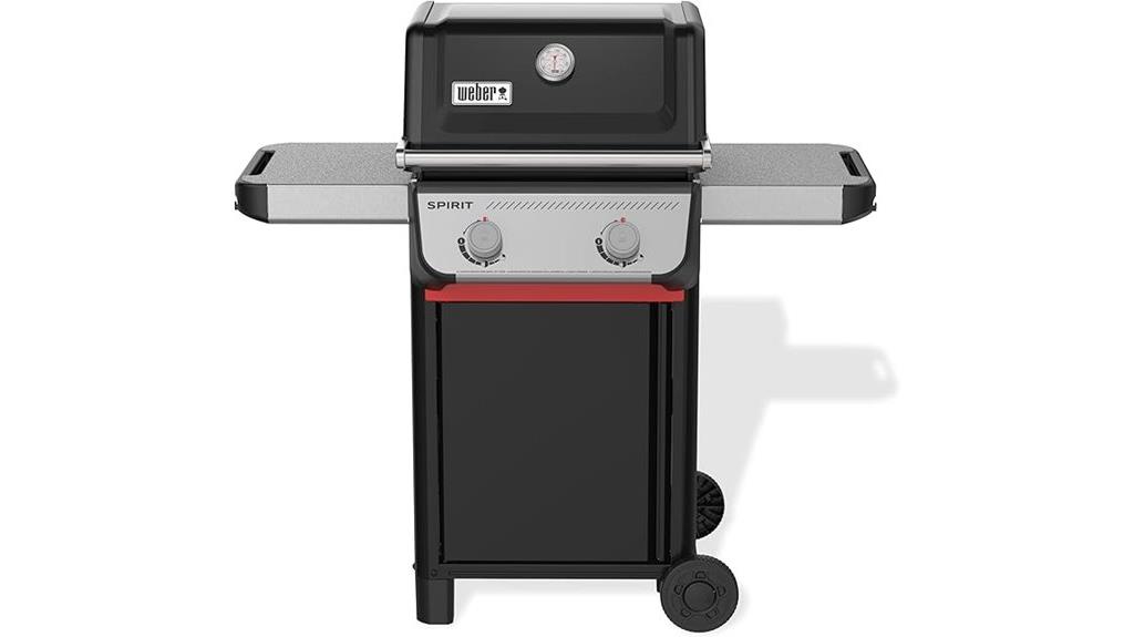 weber spirit e 210 grill