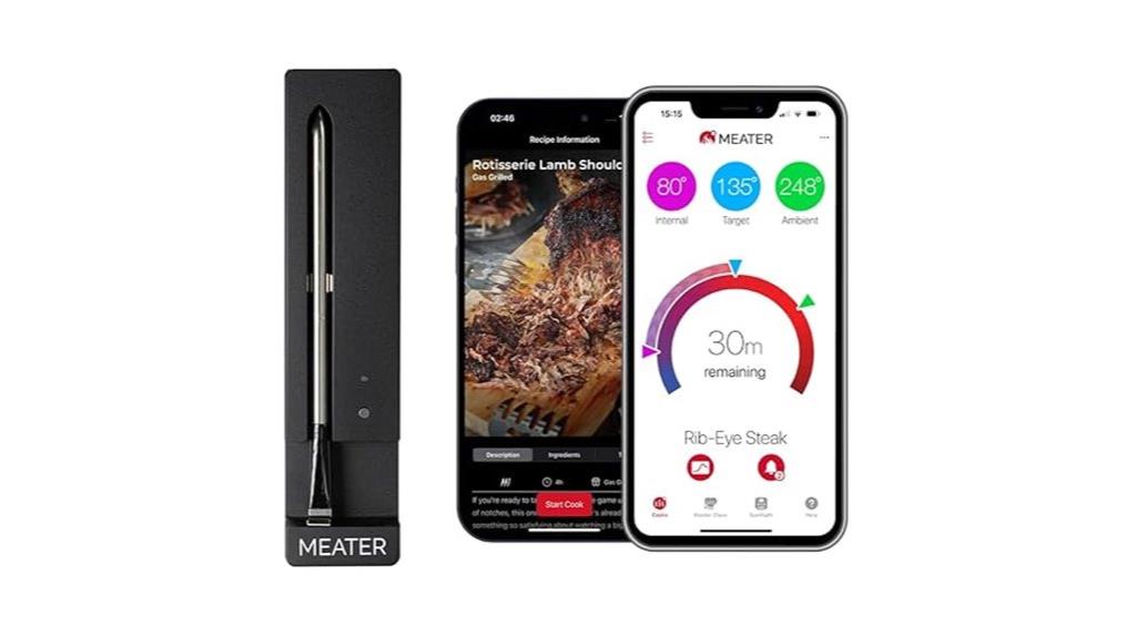 wireless dual sensor thermometer