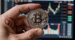 bitcoin ownership insights matter