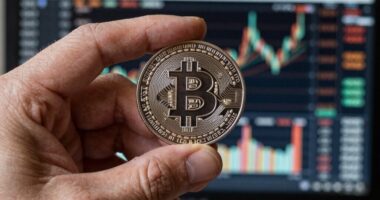 bitcoin ownership insights matter