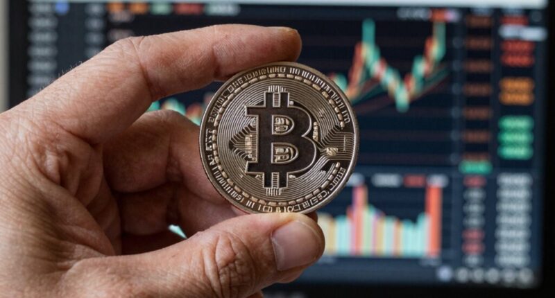 bitcoin ownership insights matter