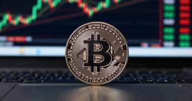 bitcoin remains crypto benchmark