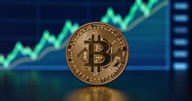 bitcoin s leadership persists