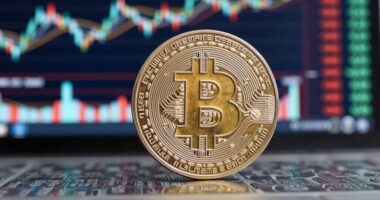 bitcoin supply shock implications