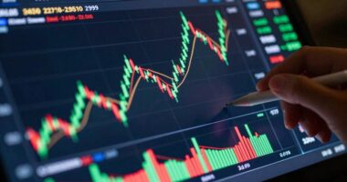 bitcoin volatility attracts investors