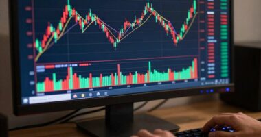 understanding bitcoin price movements