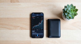 Is Bitcoin Dead Today? Market Pulse — 2026-06-24