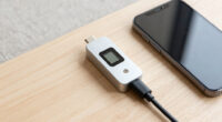 Build, Rent, or Quantize: Cutting Your Memory Bill Without Cutting Capability