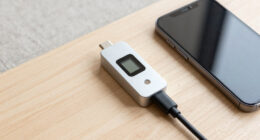 Build, Rent, or Quantize: Cutting Your Memory Bill Without Cutting Capability