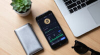 Is Bitcoin Dead Today? Market Pulse — 2026-08-13